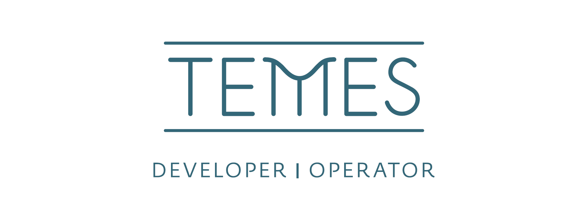 Temes Logo